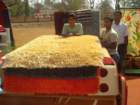 awwamela31jan2011058_small.jpg