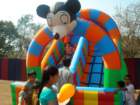 awwamela31jan2011152_small.jpg