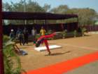 awwamela31jan2011224_small.jpg