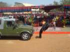 awwamela31jan2011249_small.jpg