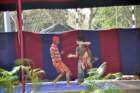 awwamela31jan2011254_small.jpg