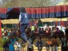 awwamela31jan2011261_small.jpg