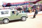 awwamela31jan2011277_small.jpg
