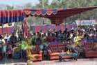 awwamela31jan2011284_small.jpg