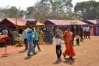 awwamela31jan2011312_small.jpg