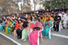 commemorationparade31jan2011057_small.jpg