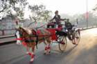 commemorationparade31jan2011101_small.jpg