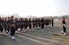 commemorationparade31jan2011223_small.jpg