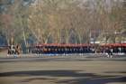commemorationparade31jan2011245_small.jpg