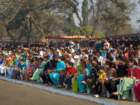 commemorationparade31jan2011521_small.jpg