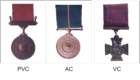 medalspvcacvc_small.jpg