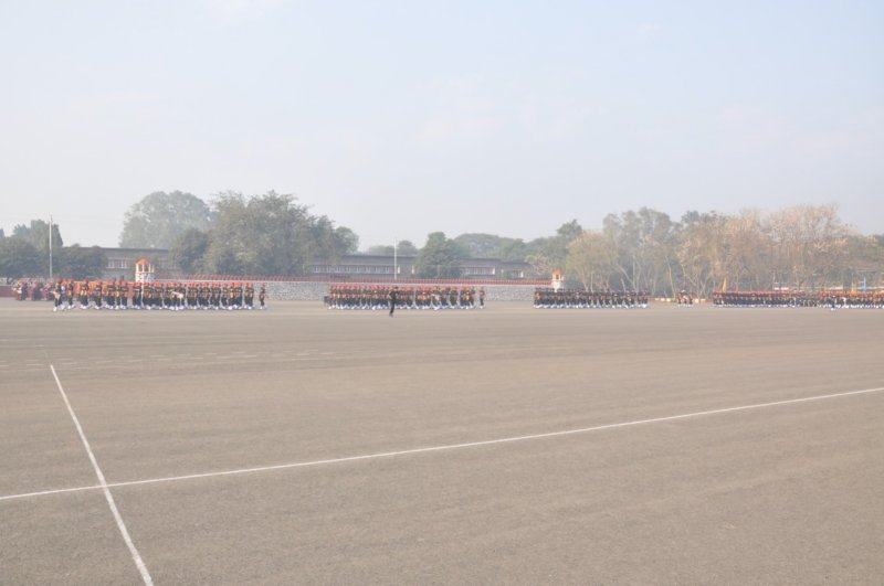 dsc_02491600x1200.jpg