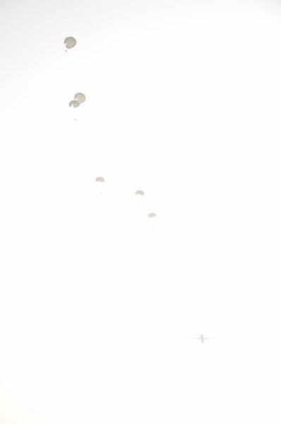 paradropdisplaydt30jan101741600x1200.jpg